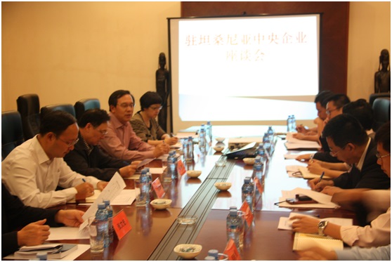 国资委在坦桑尼亚召开中央企业座谈会中华人民