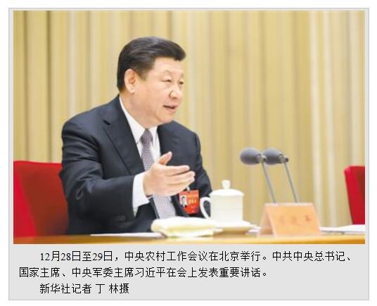 中央农村工作会议在北京举行全面从严治党